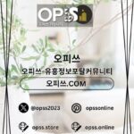 답십리오피 출장마사지안내.COM 답십리OP kullanıcısının profil fotoğrafı