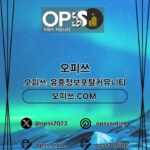 부산오피 오피.CLUB 부산OP kullanıcısının profil fotoğrafı