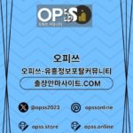 전주오피 오피쓰.COM 전주OP kullanıcısının profil fotoğrafı