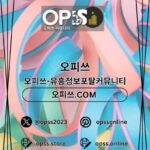 판교오피 오피쓰주소.COM 판교OP kullanıcısının profil fotoğrafı